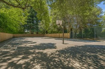 Basketball court